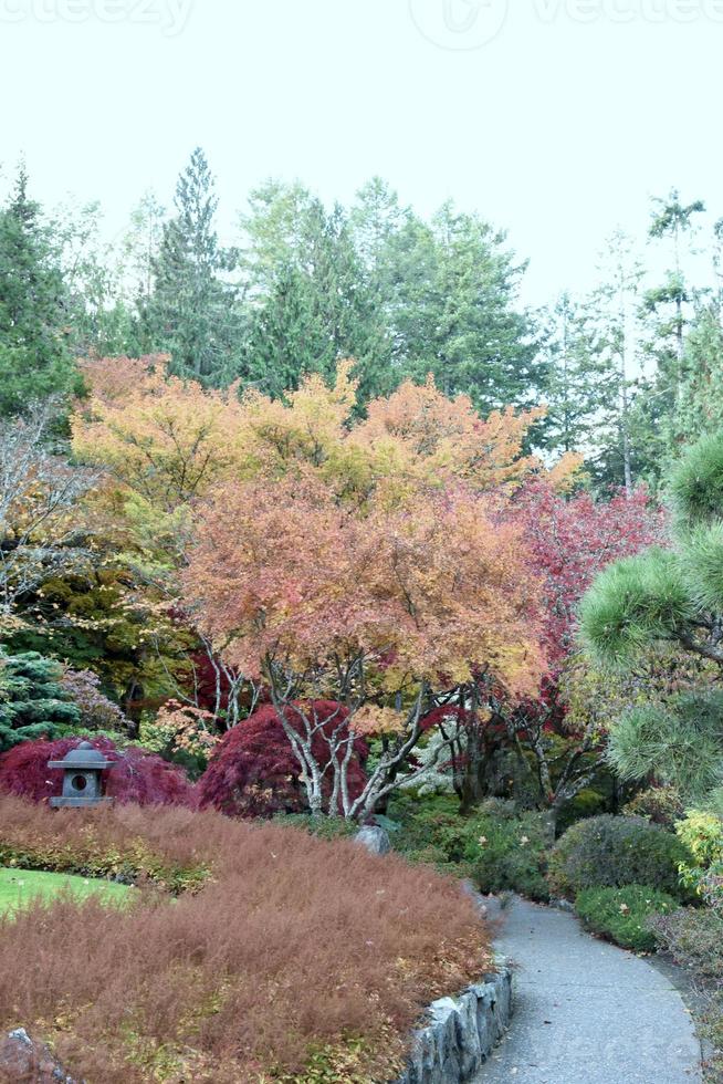 cores do outono em um jardim japonês foto