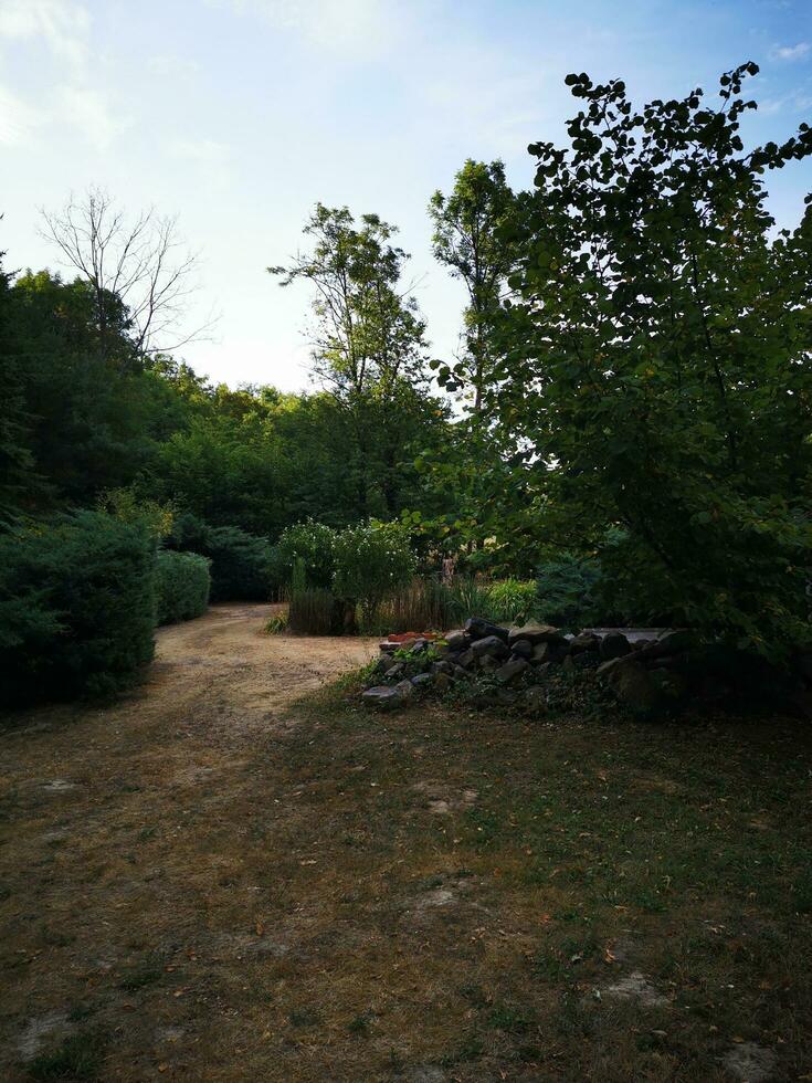 foto do uma cênico sujeira caminho cercado de exuberante vegetação