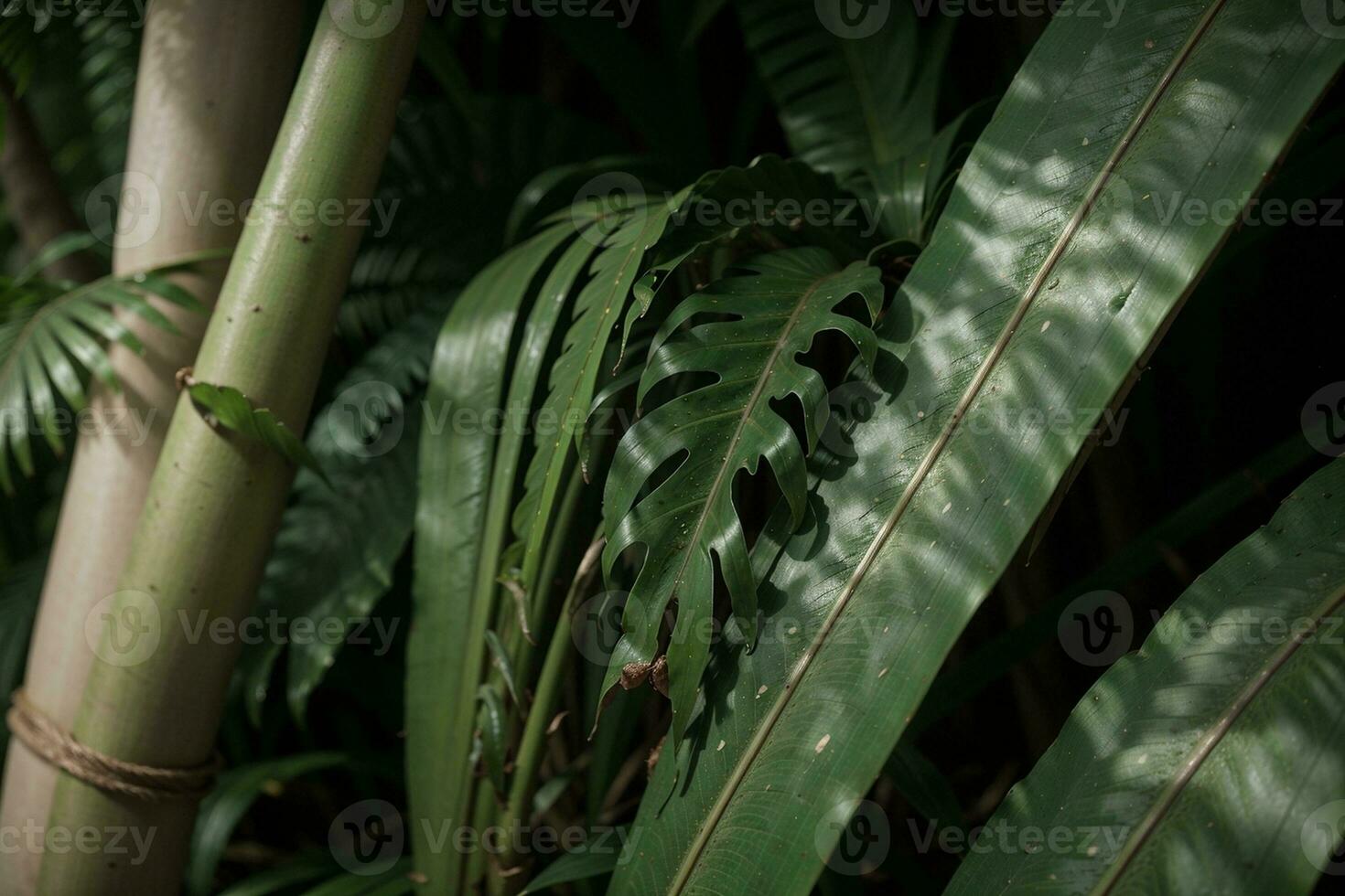 sereno beleza do tropical Palma folhas. ai gerado. foto