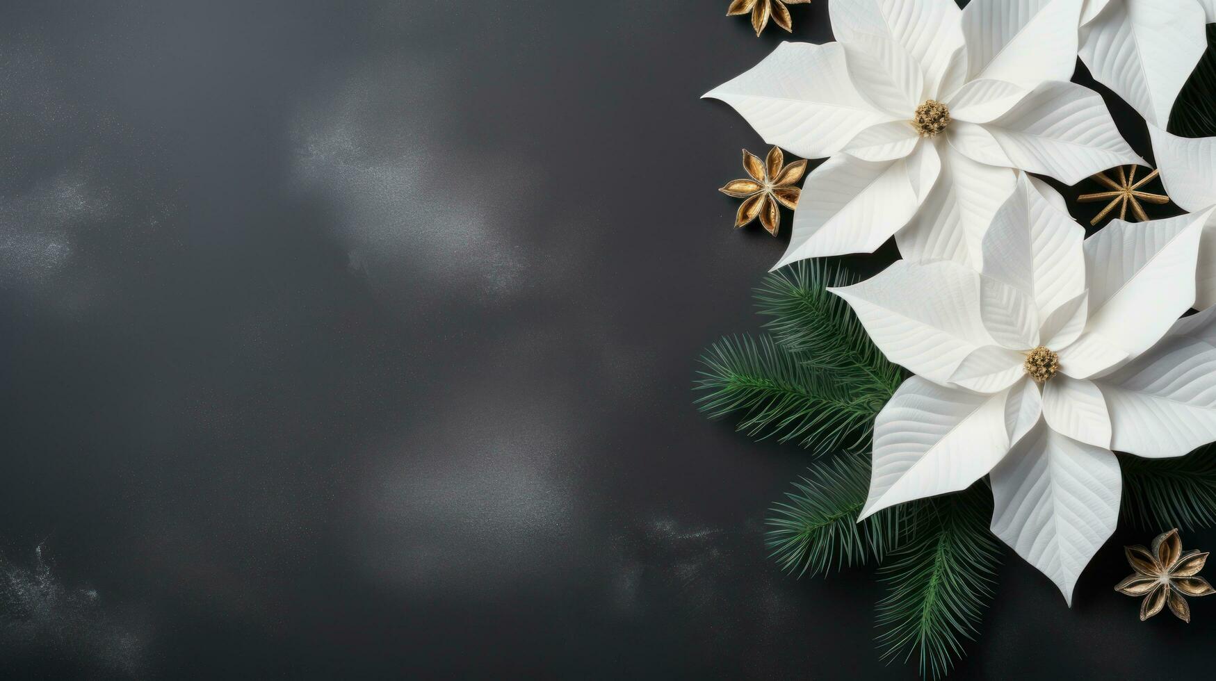 poinsétia flores com cópia de espaço foto