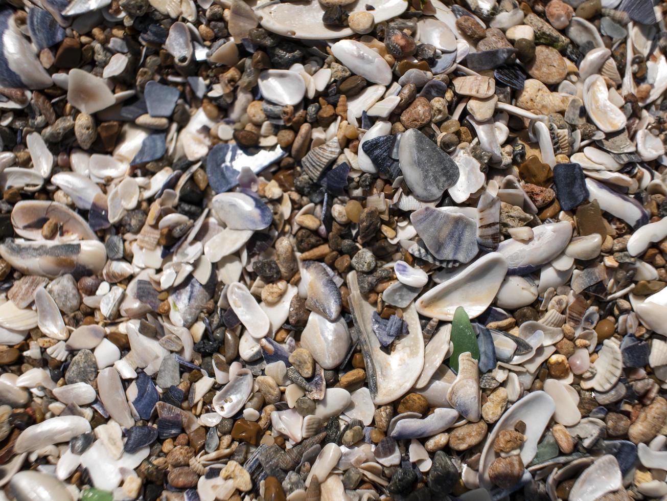 seixos, conchas e areia do mar. textura. o fundo foto