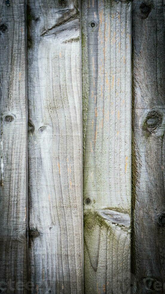 natural madeira grão textura fundo foto