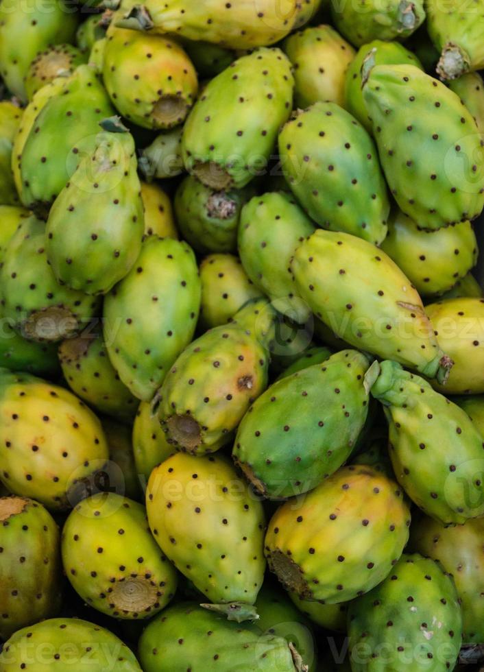 opuntia tunos o cacto figo foto