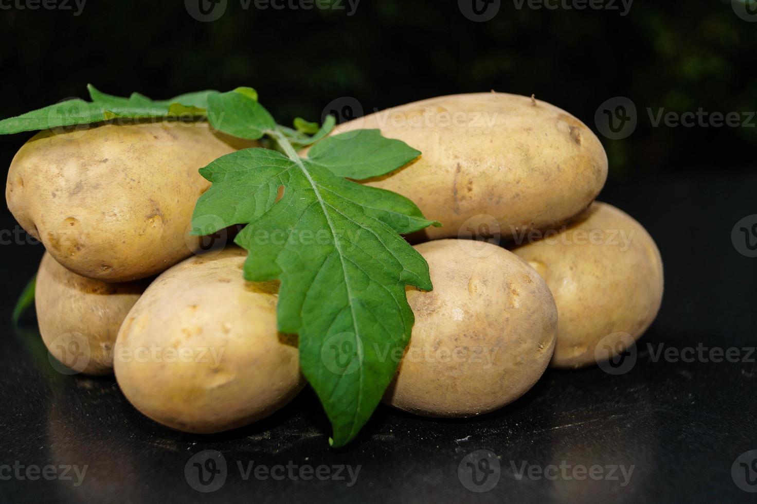 Batatas alemãs logo após a colheita foto