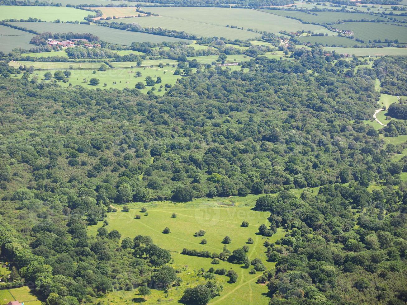vista aérea da floresta hatfield foto