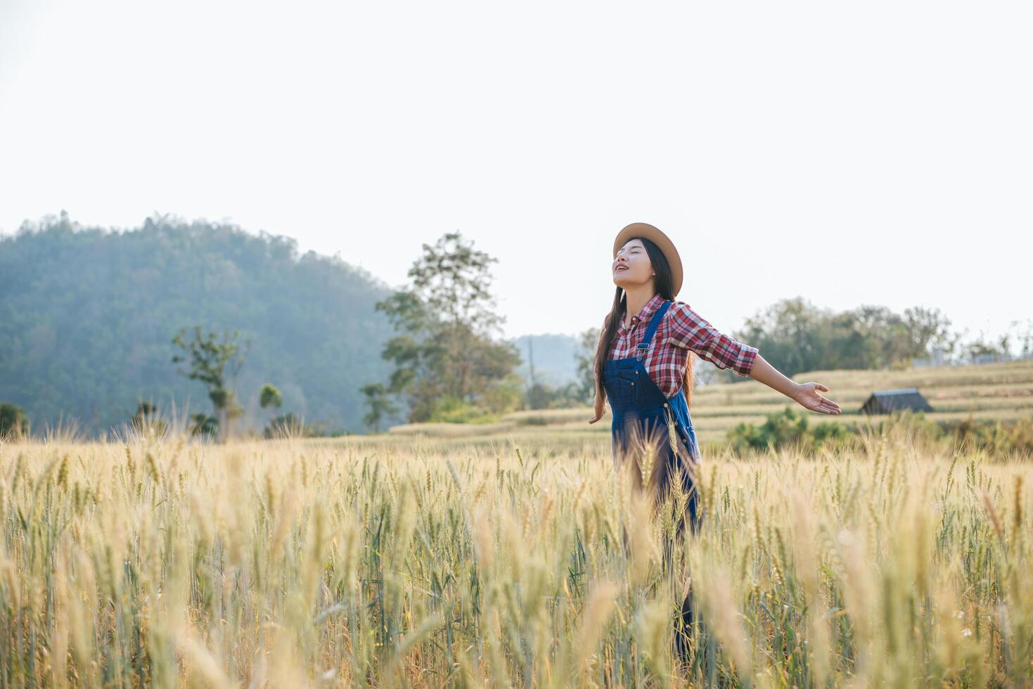 mulher agricultora com época de colheita do campo de cevada foto