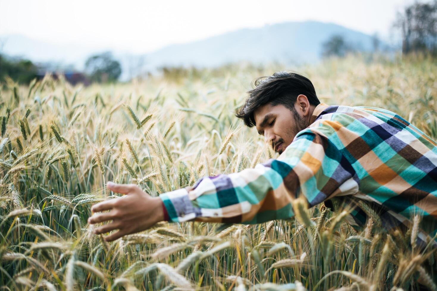 fazendeiro bonito com campo de barlay foto