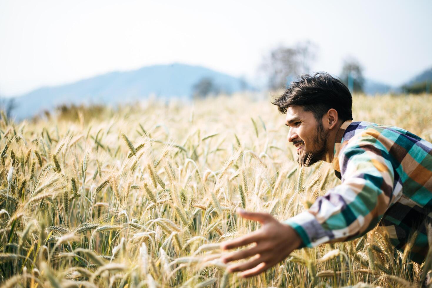 fazendeiro bonito com campo de barlay foto