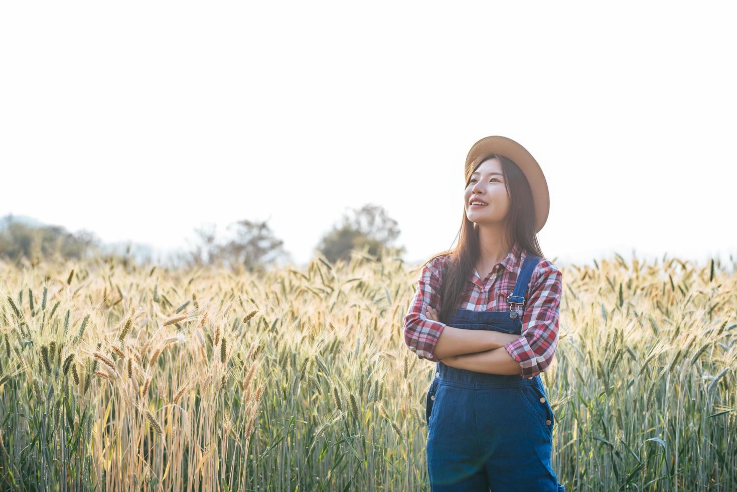 mulher agricultora com época de colheita do campo de cevada foto