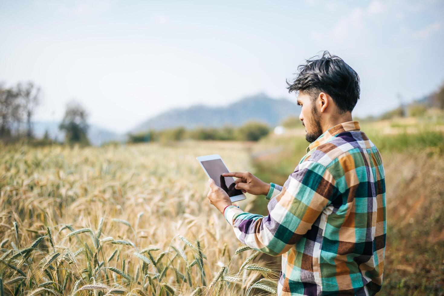 fazendeiro inteligente verificando fazenda de cevada com computador tablet foto