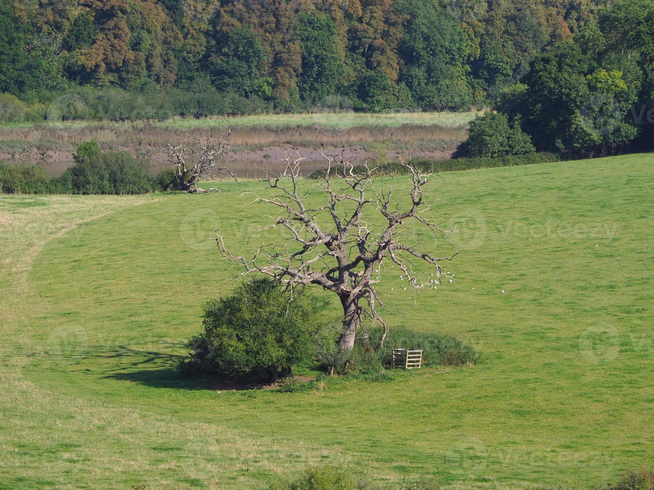 vista do campo em chepstow foto