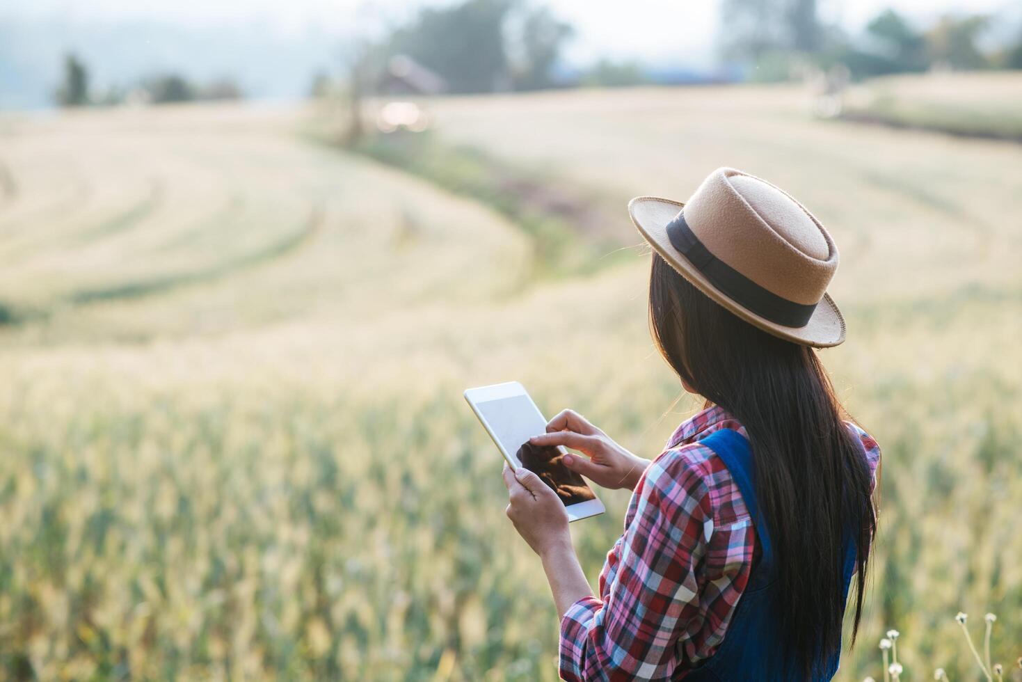 Mulher inteligente agricultora olhando para um campo de cevada com um computador tablet foto