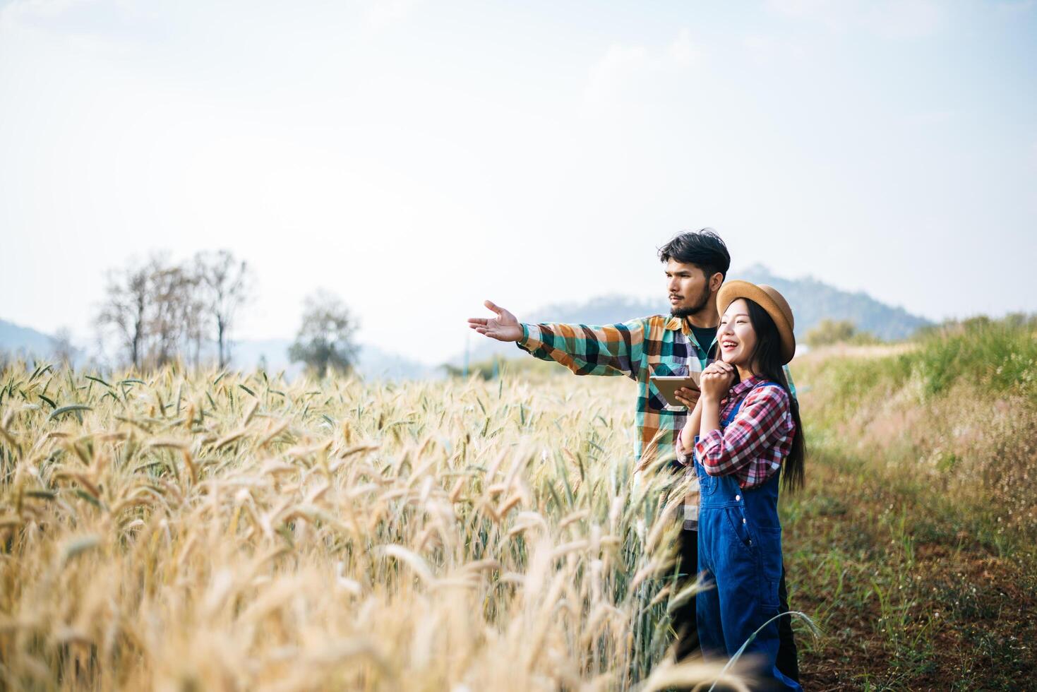 casal de fazendeiros olhando para um campo de cevada na temporada de colheita foto