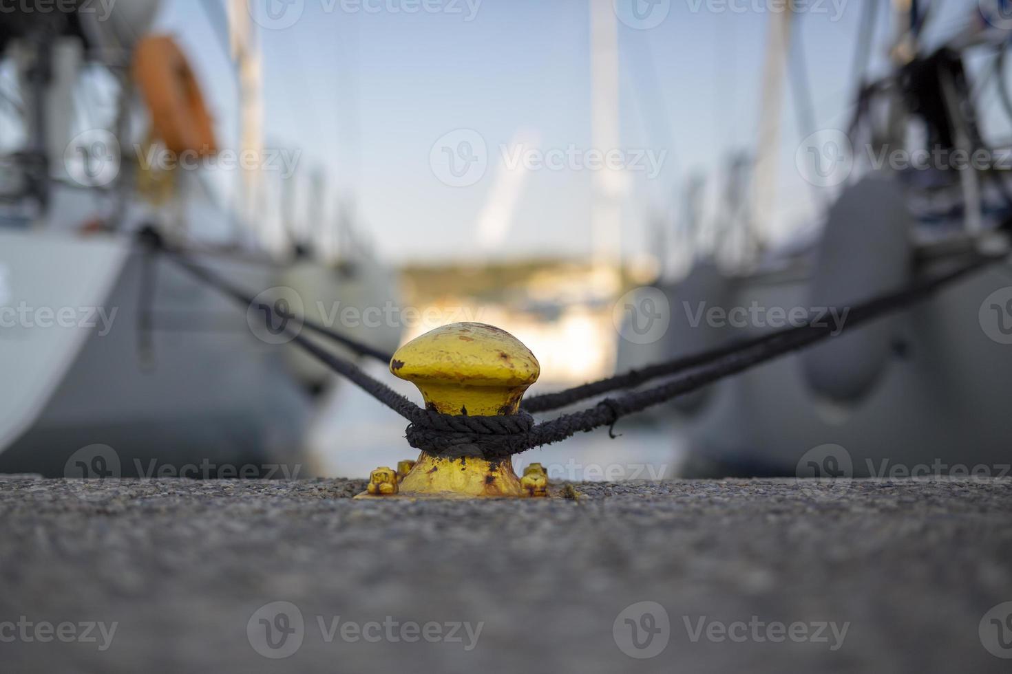 2 iates presos em um poste de amarração de metal foto