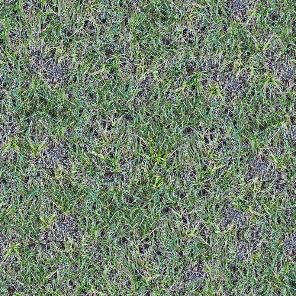 textura de solo de grama verde perfeita foto