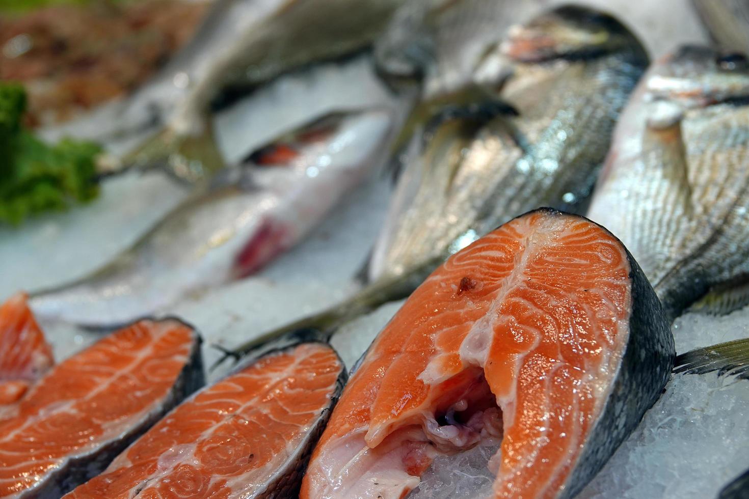 comida crua salmão peixe no gelo foto