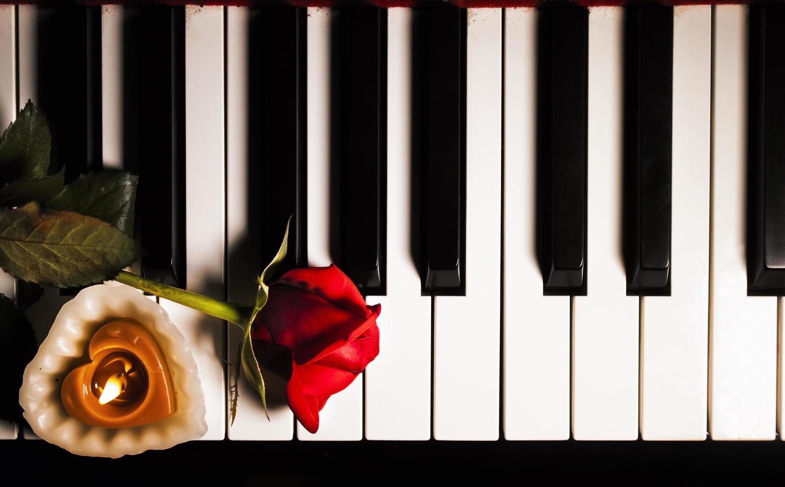 flor rosa vermelha nas teclas do piano romântico foto