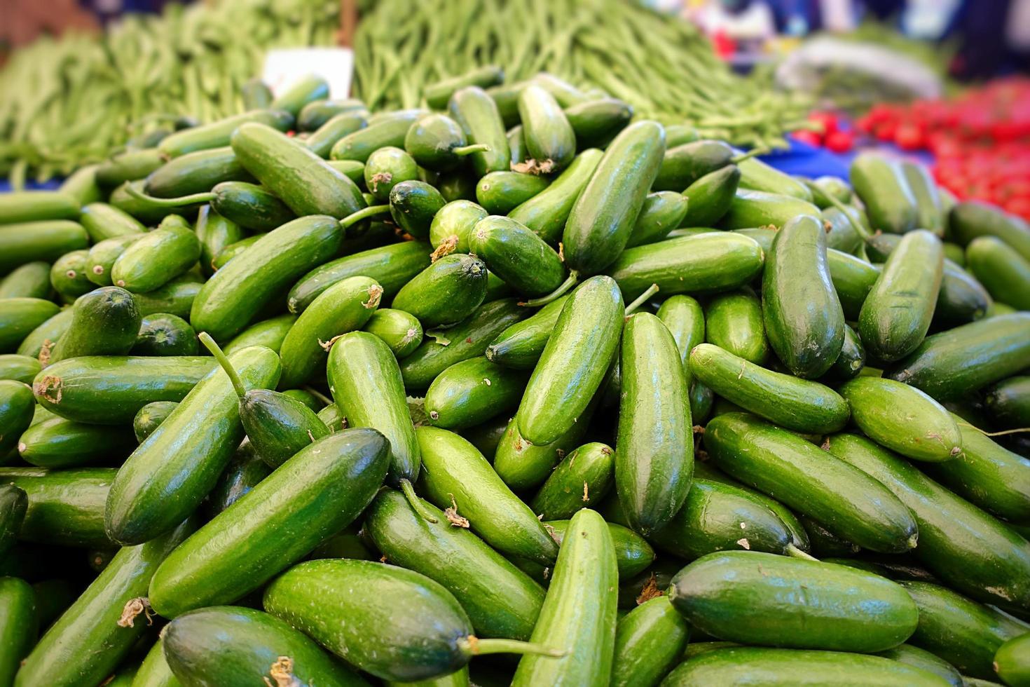 pepino vegetal orgânico saudável foto