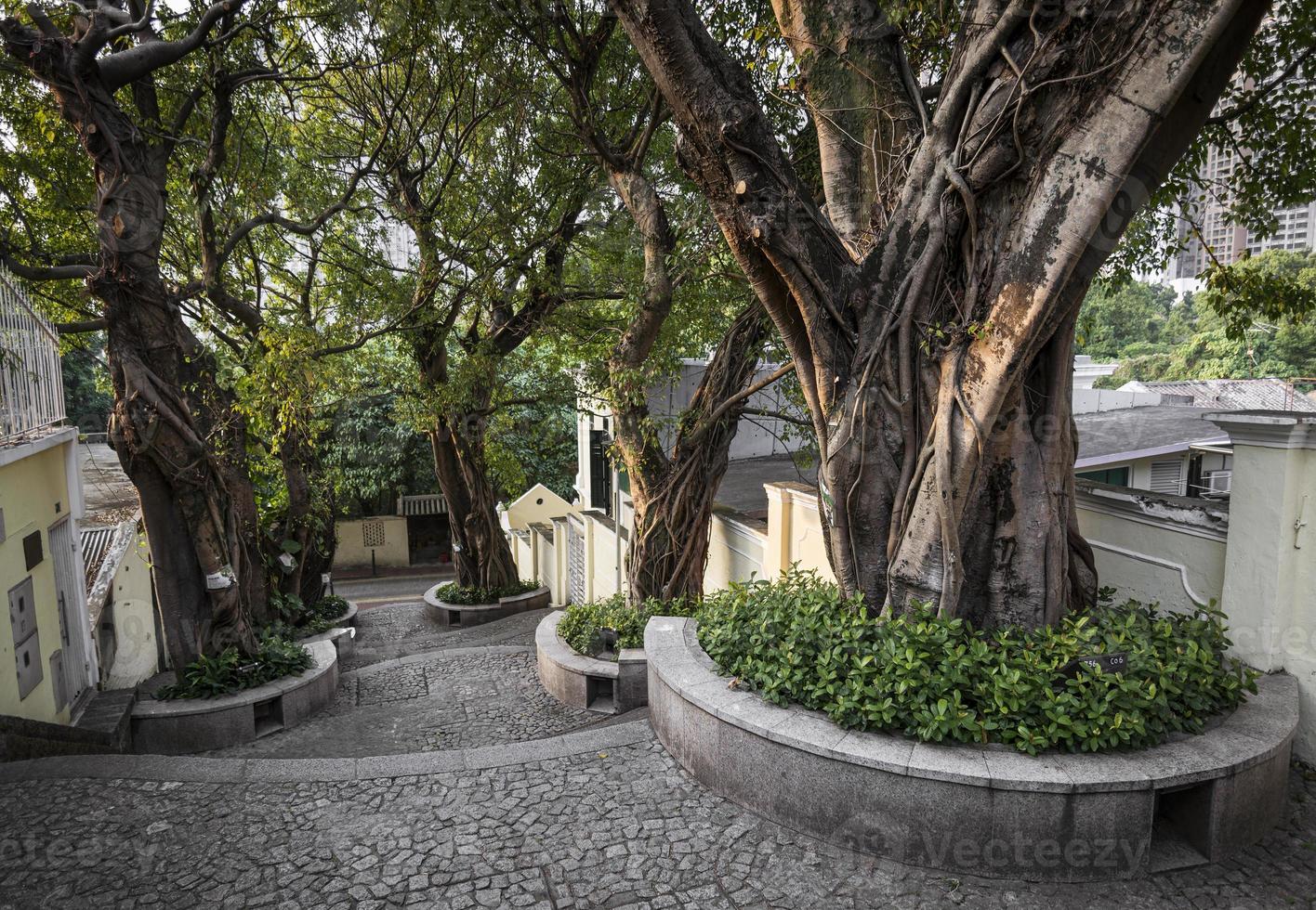 calcada do carmo beco em estilo colonial português na antiga área de taipa, na china de macau foto