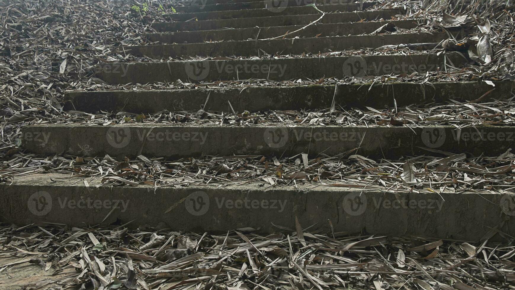 escada de concreto velha quebrada com rachadura foto