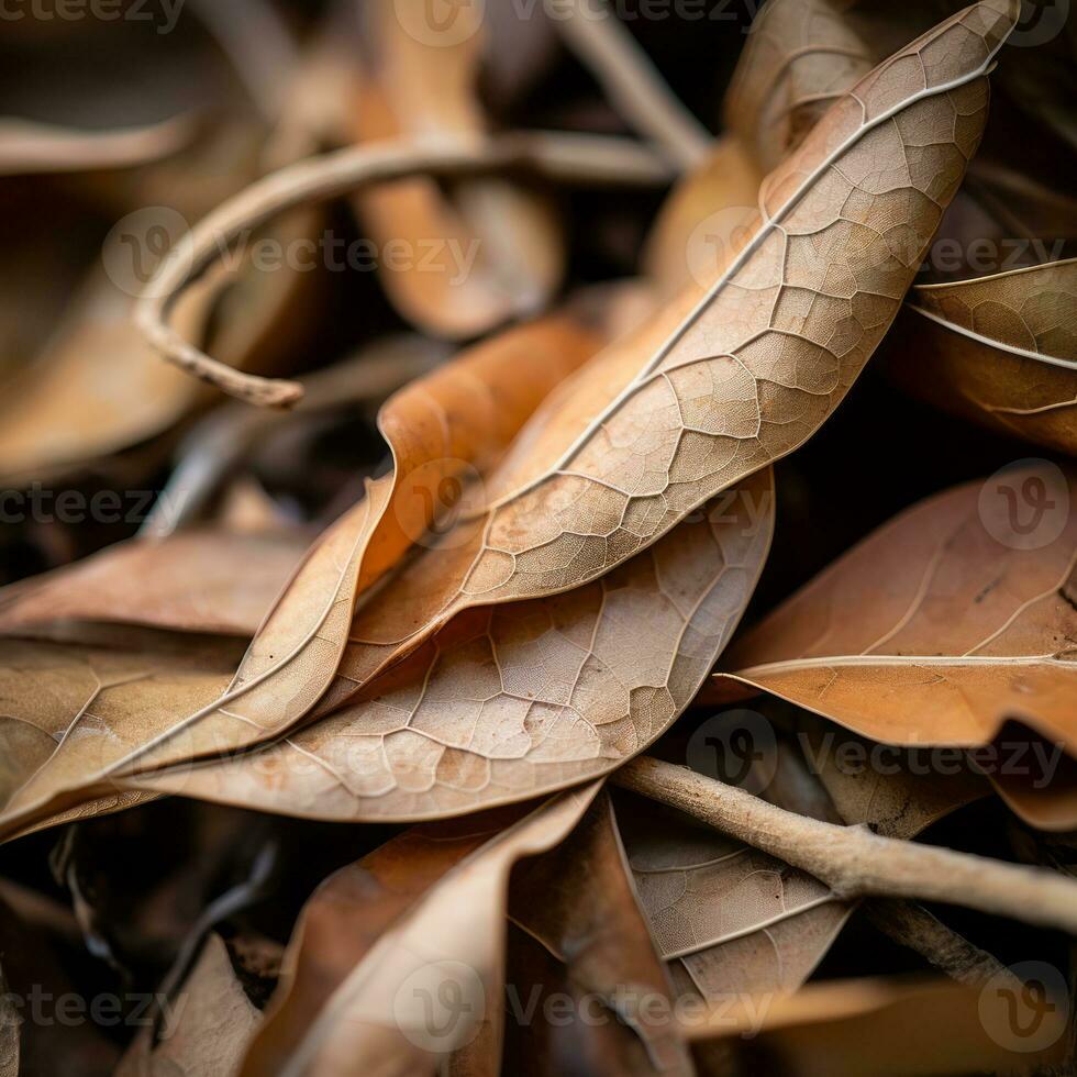 uma fechar acima Visão do seco folhas em a terra generativo ai foto