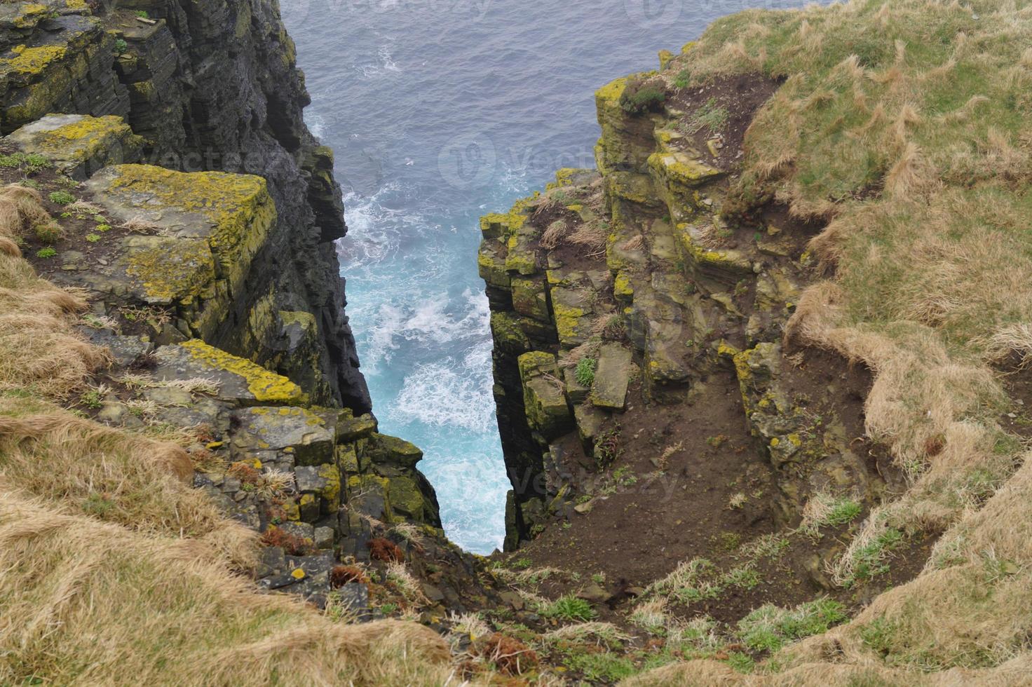 Marwick Head Orkney Islands foto