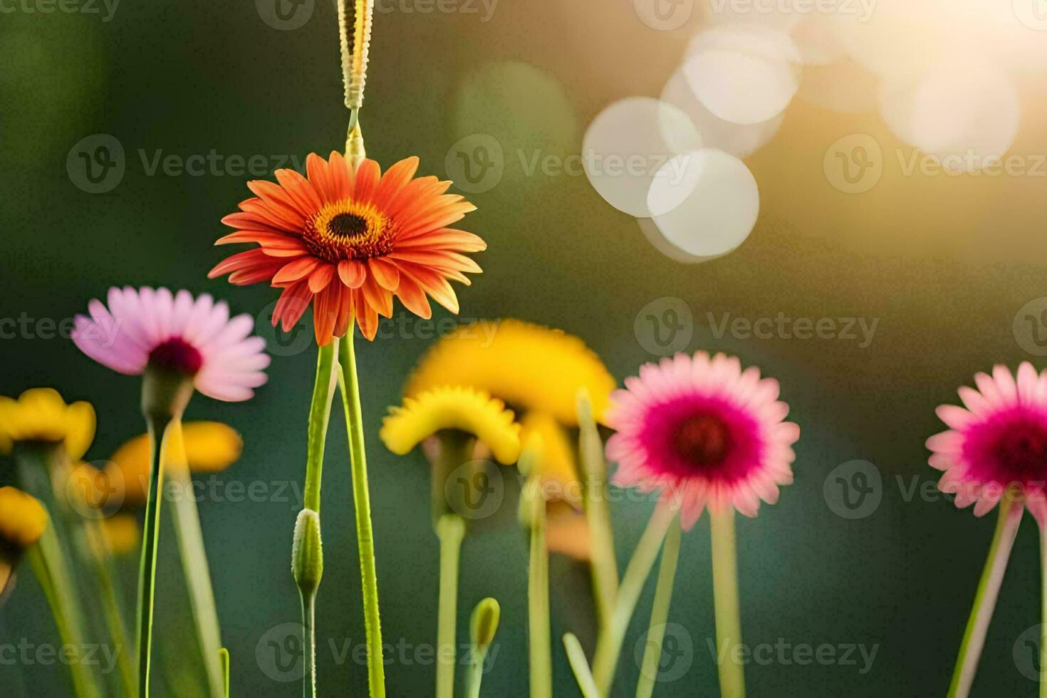 colorida flores dentro a Sol. gerado por IA foto
