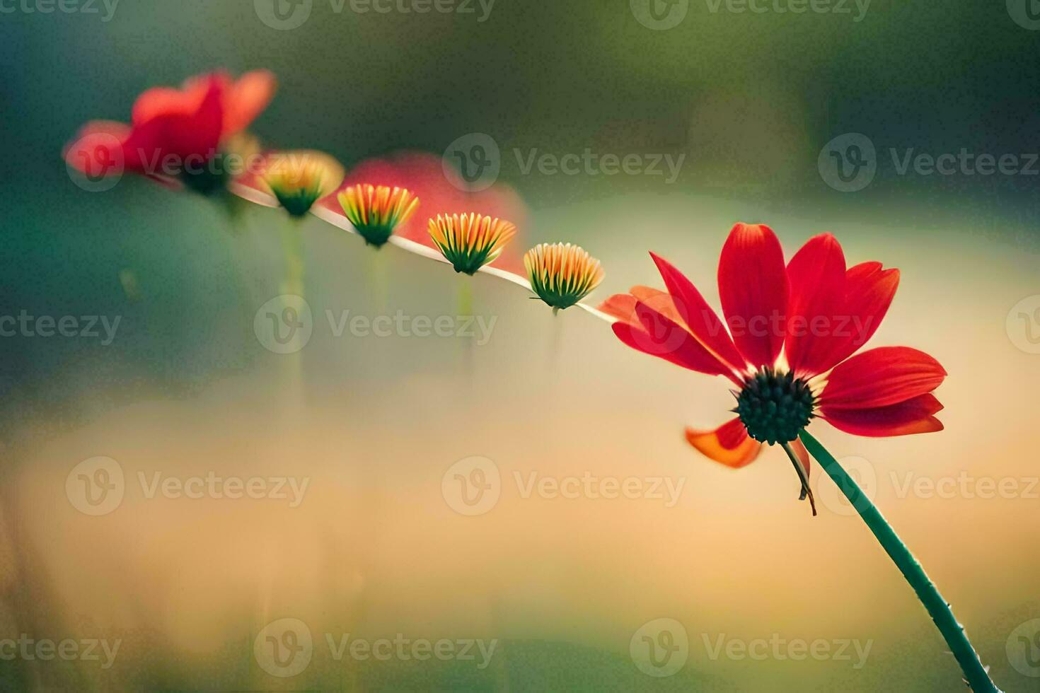 vermelho flores dentro a campo. gerado por IA foto