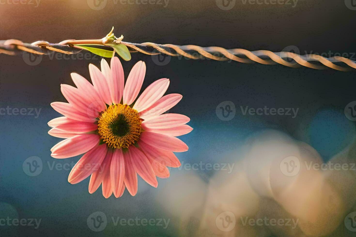 uma Rosa flor é suspensão a partir de uma arame. gerado por IA foto