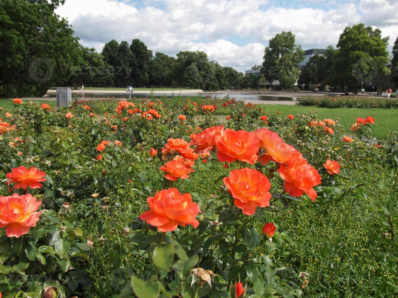 jardins em estugarda alemanha foto