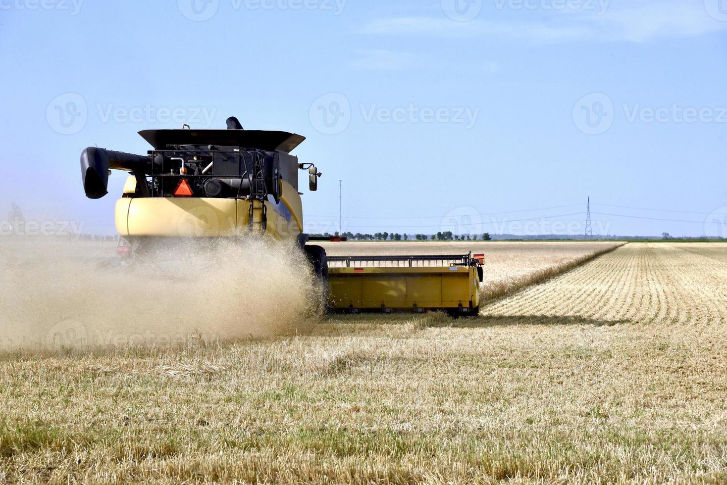 combinar o trabalho em um campo foto