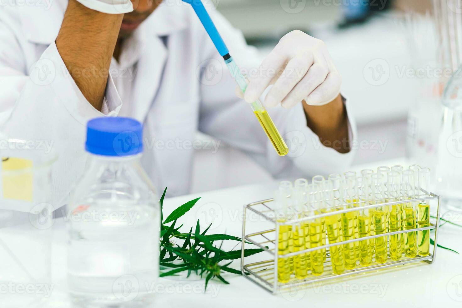 cientista dentro laboratório teste cbd óleo extraído a partir de uma maconha plantar. cuidados de saúde farmacia a partir de médico cannabis. foto