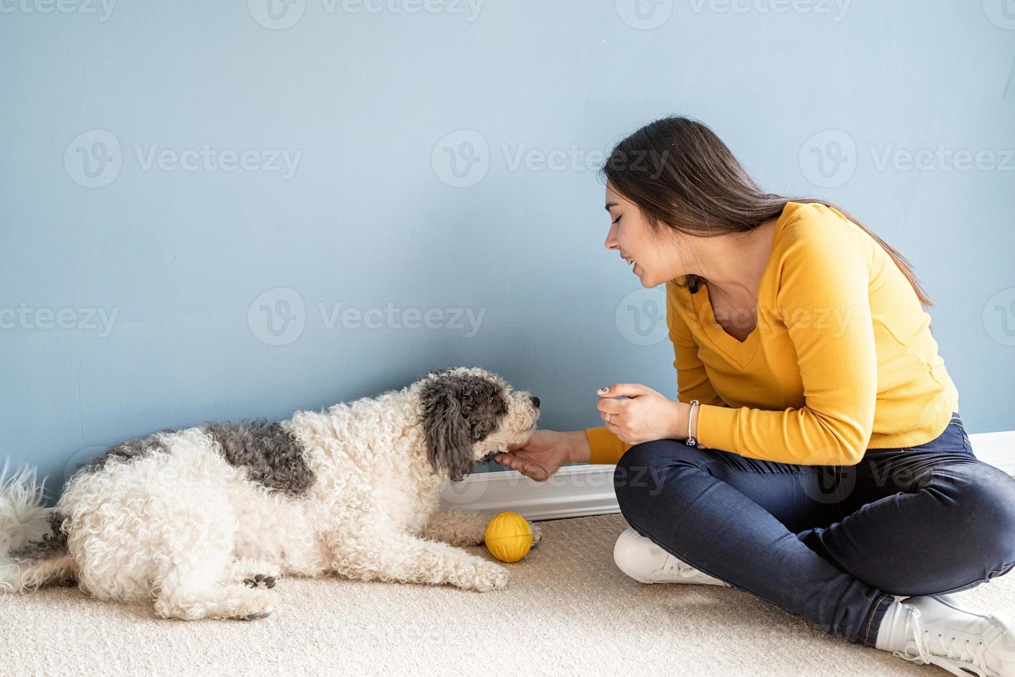 Mulher bonita com cachorro jovem brincalhão se divertindo em casa foto