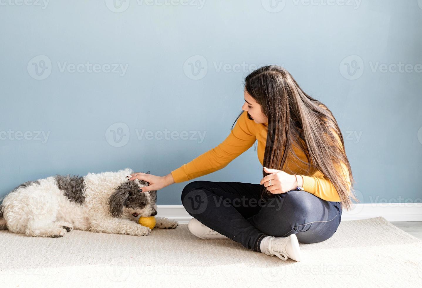 Mulher bonita com cachorro jovem brincalhão se divertindo em casa foto