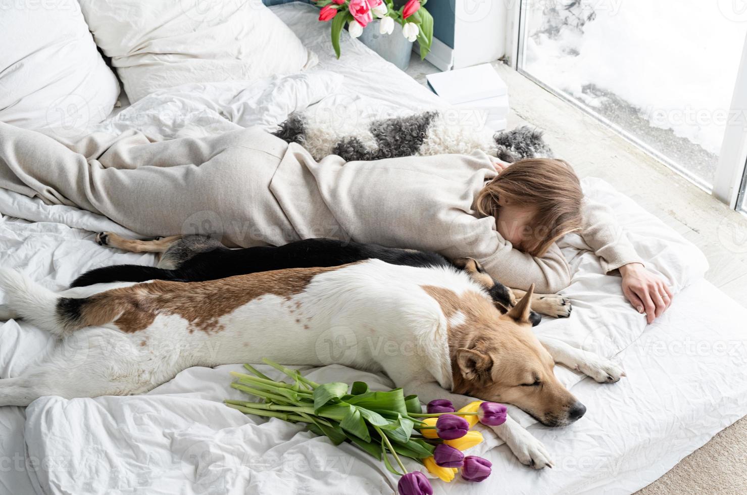 jovem de pijama deitada na cama com seus cachorros foto