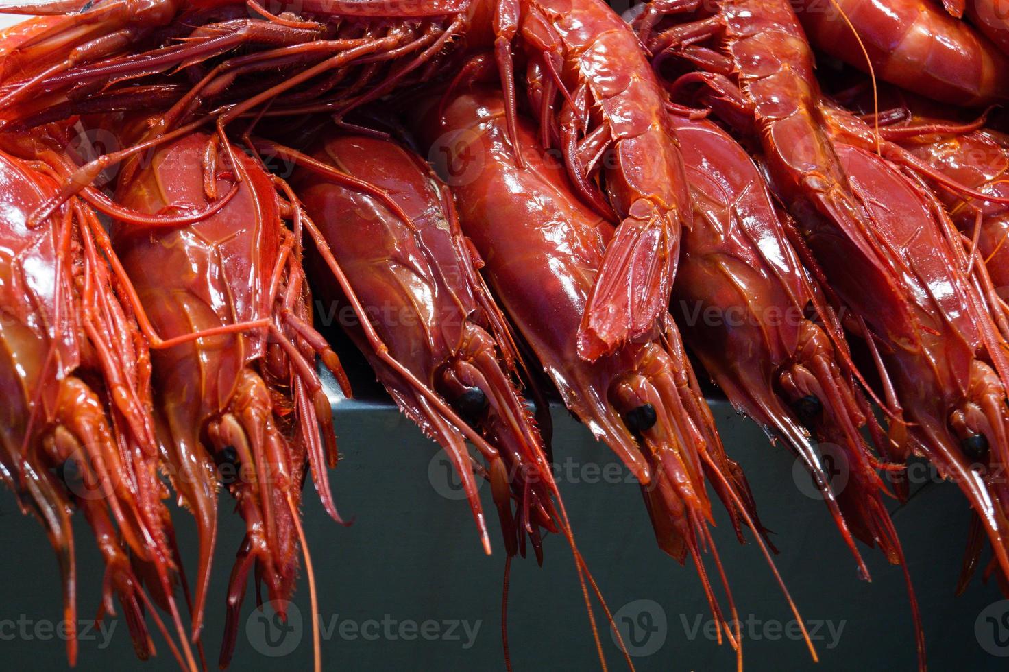 camarões e lagostas em peixaria espanhola foto