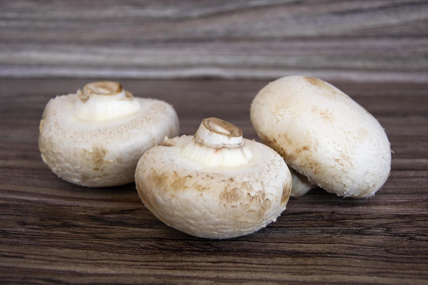 cogumelos champignon em um fundo de madeira foto