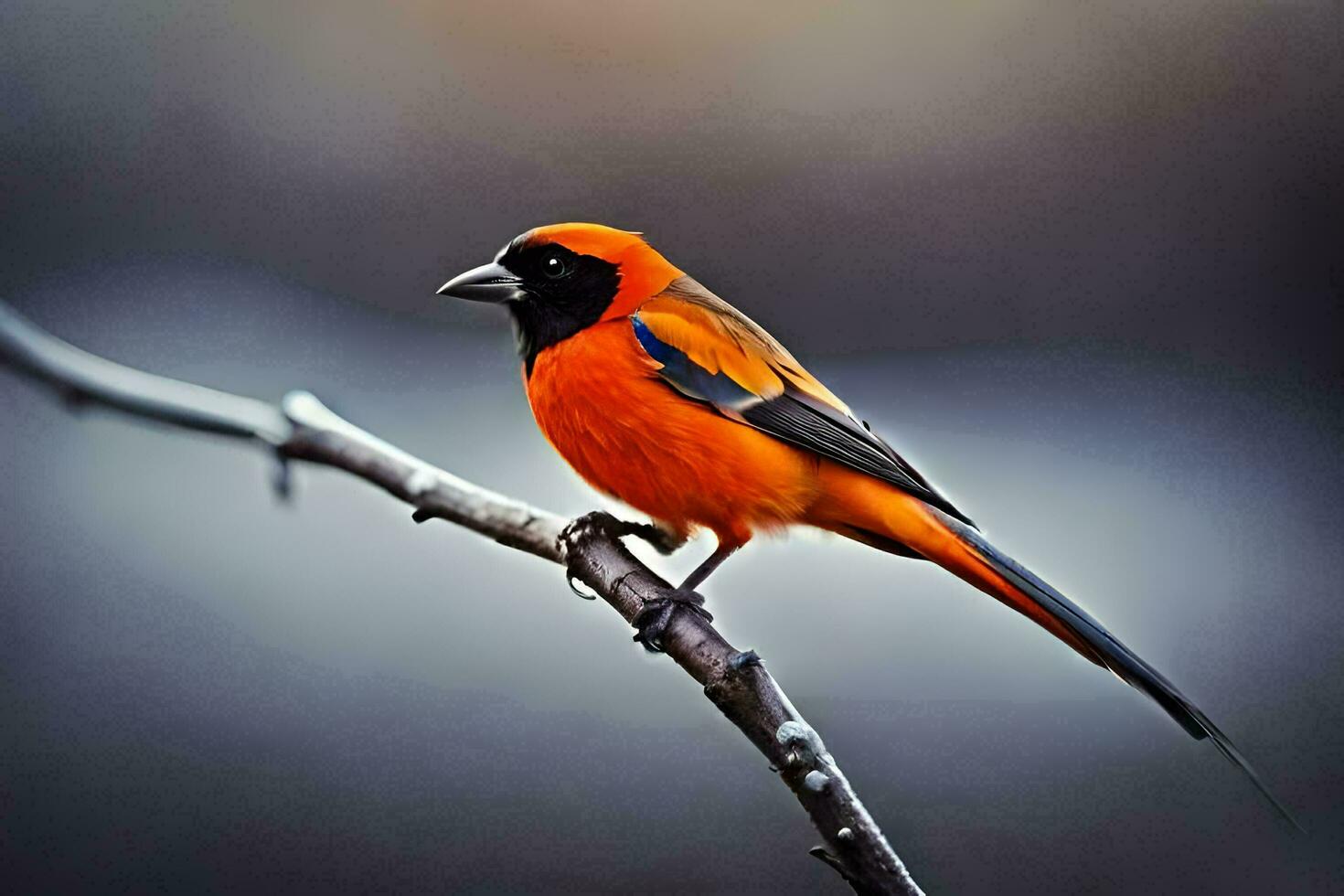 uma brilhante laranja pássaro sentado em uma ramo. gerado por IA foto