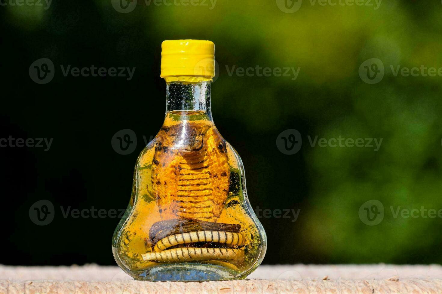 uma garrafa do líquido com uma serpente dentro foto