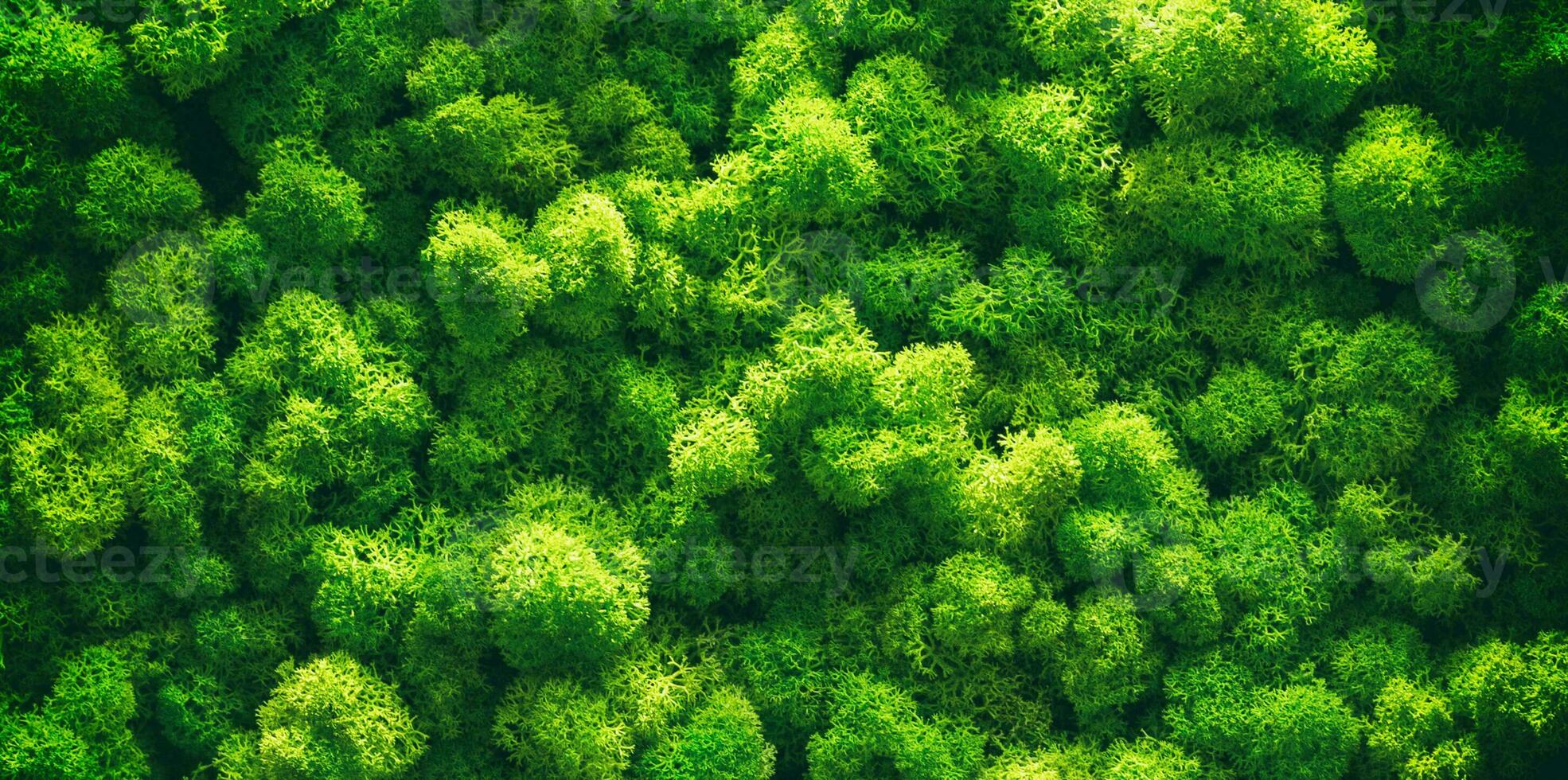 musgo verde no chão do antigo escritório. design de interiores. vista de cima de perto foto