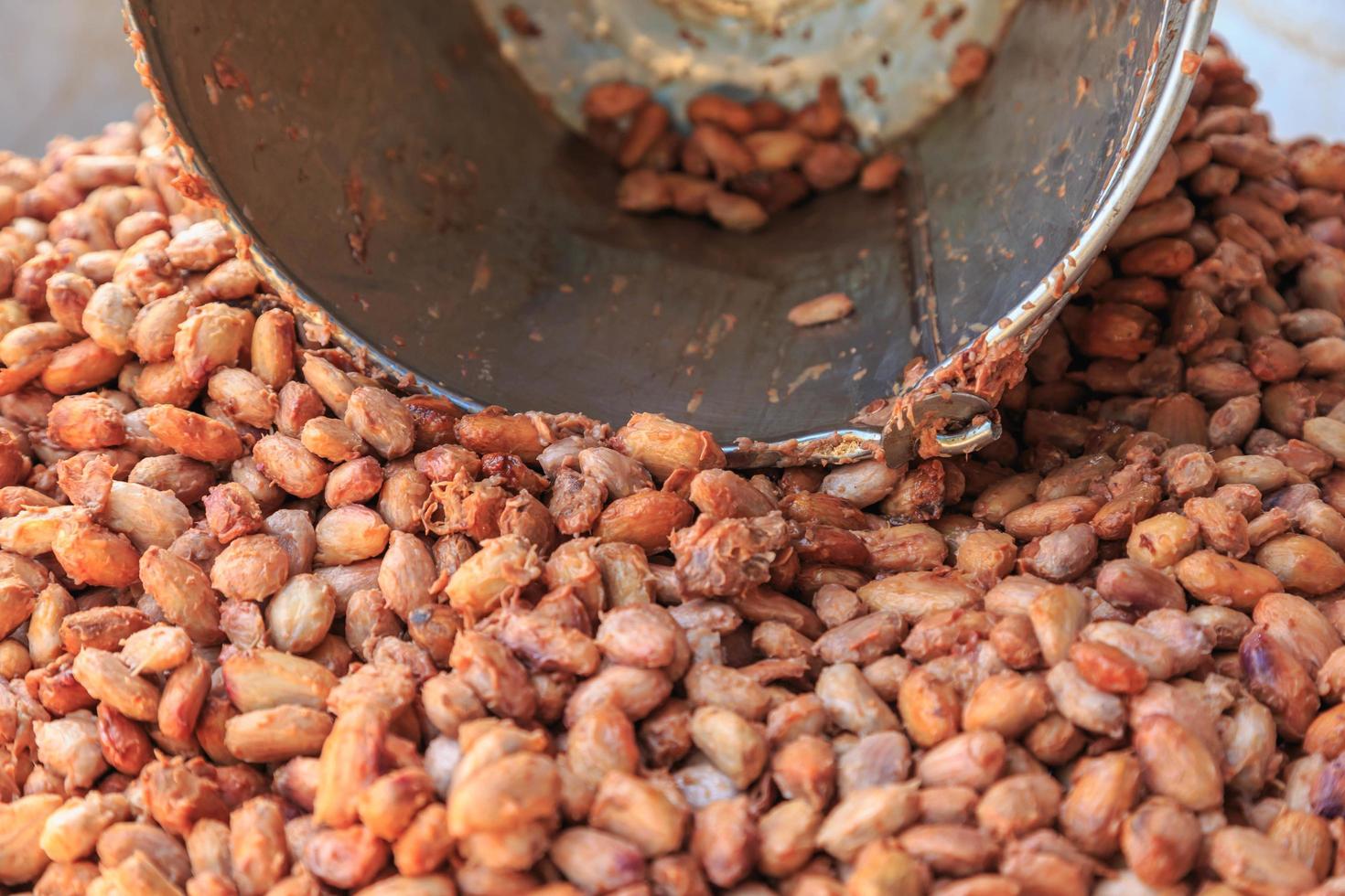 os grãos do cacau são fermentados em um tanque de fermentação. foto