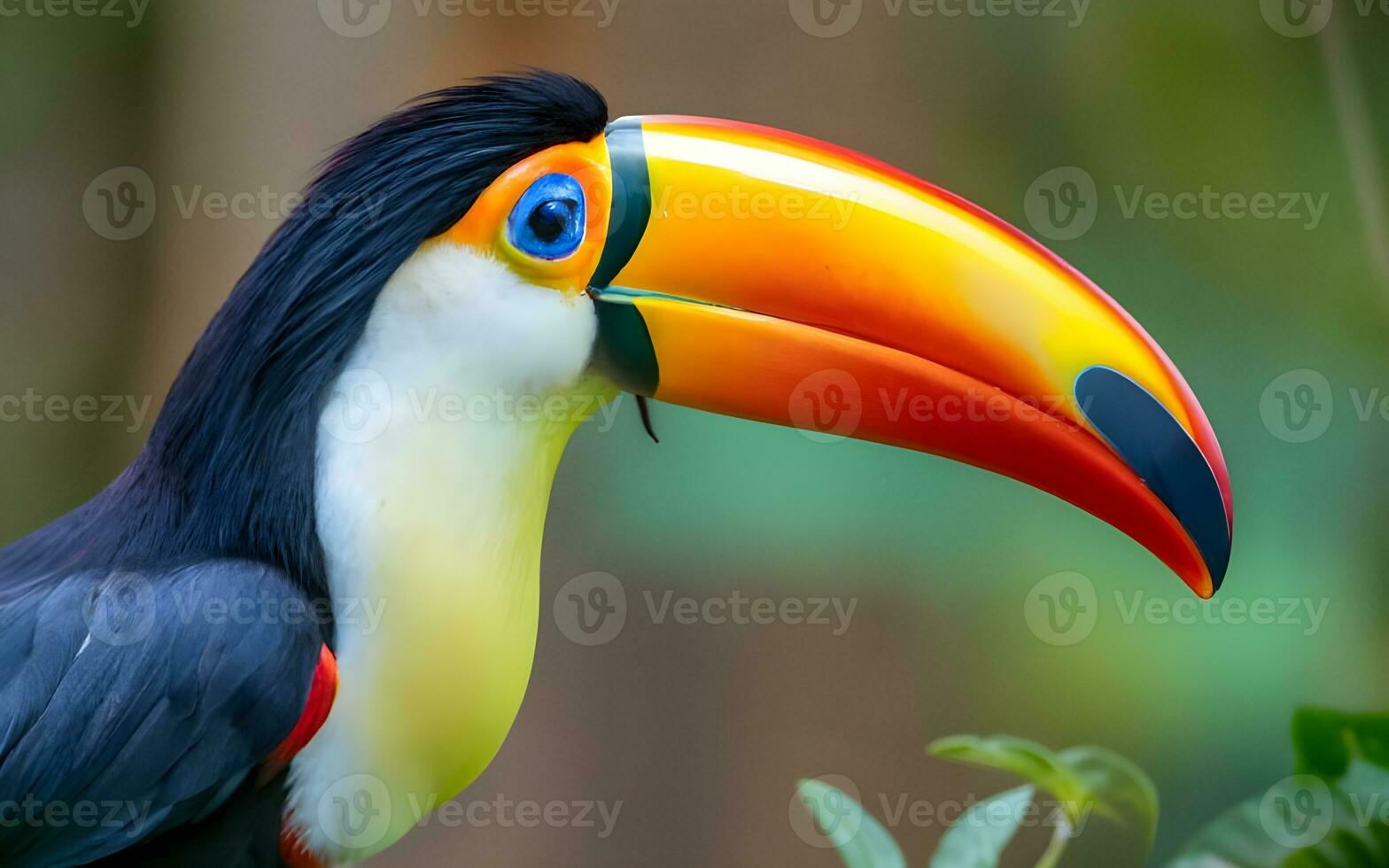 uma caleidoscópio do tropical elegante, do tucano vibrante cores dentro a floresta tropical. ai gerado foto