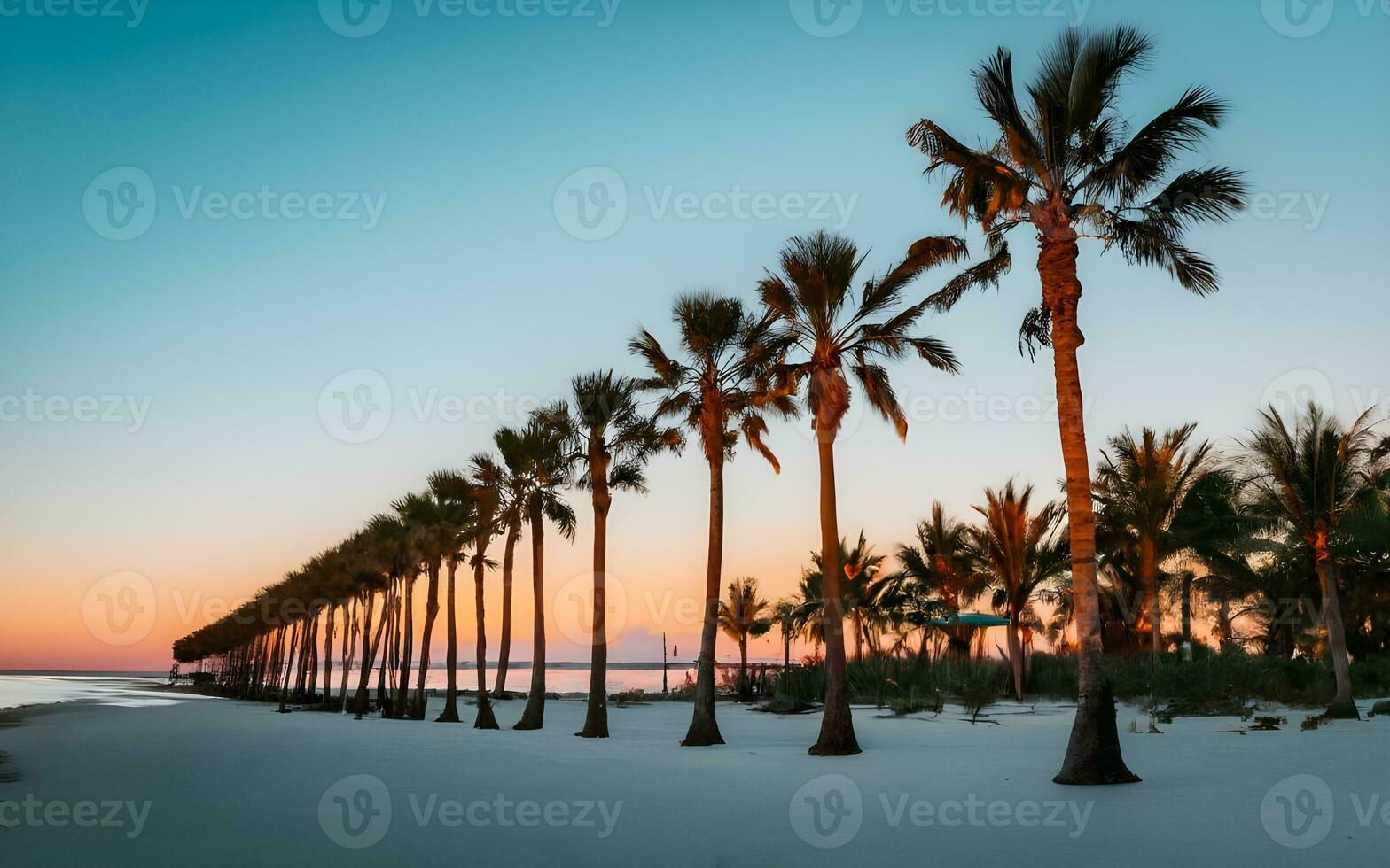 tranquilo paraíso, uma cativante Visão do Palma árvores enquadramento uma sereno de praia horizonte. ai gerado foto