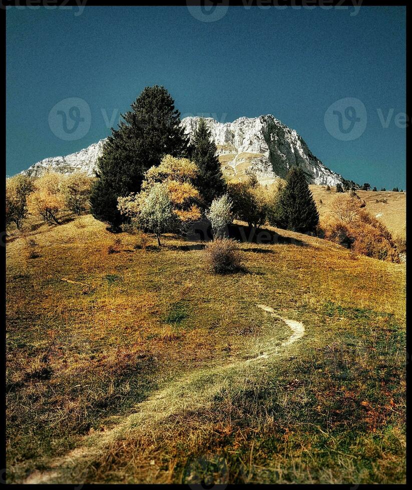 outono caminhada trilha dentro Savoy montanha panorama foto