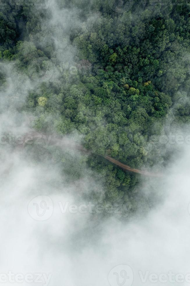 estrada através de um vale de cima foto