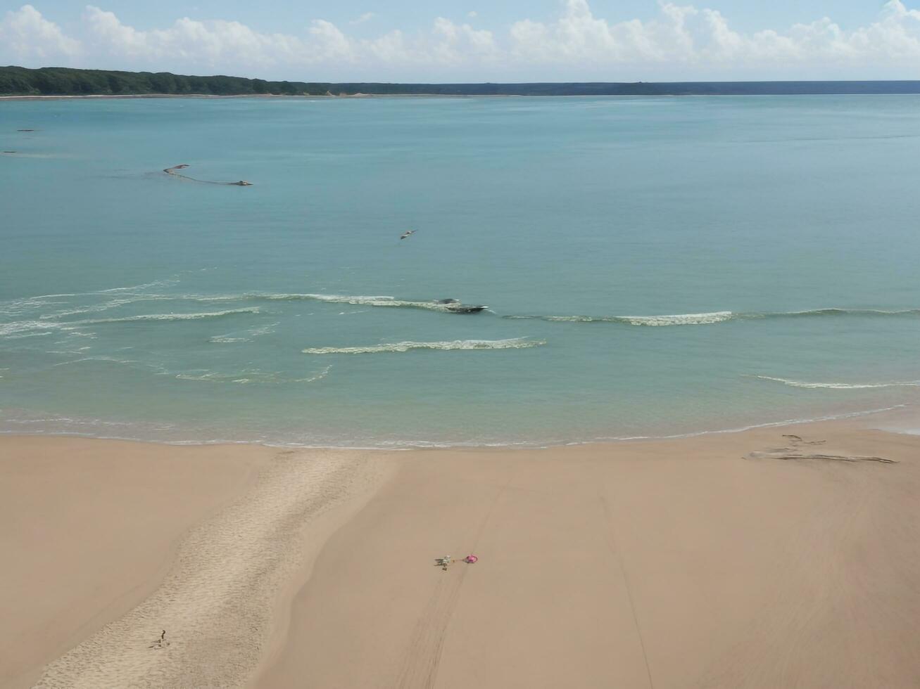 de praia lindo fechar acima imagem ai gerado foto