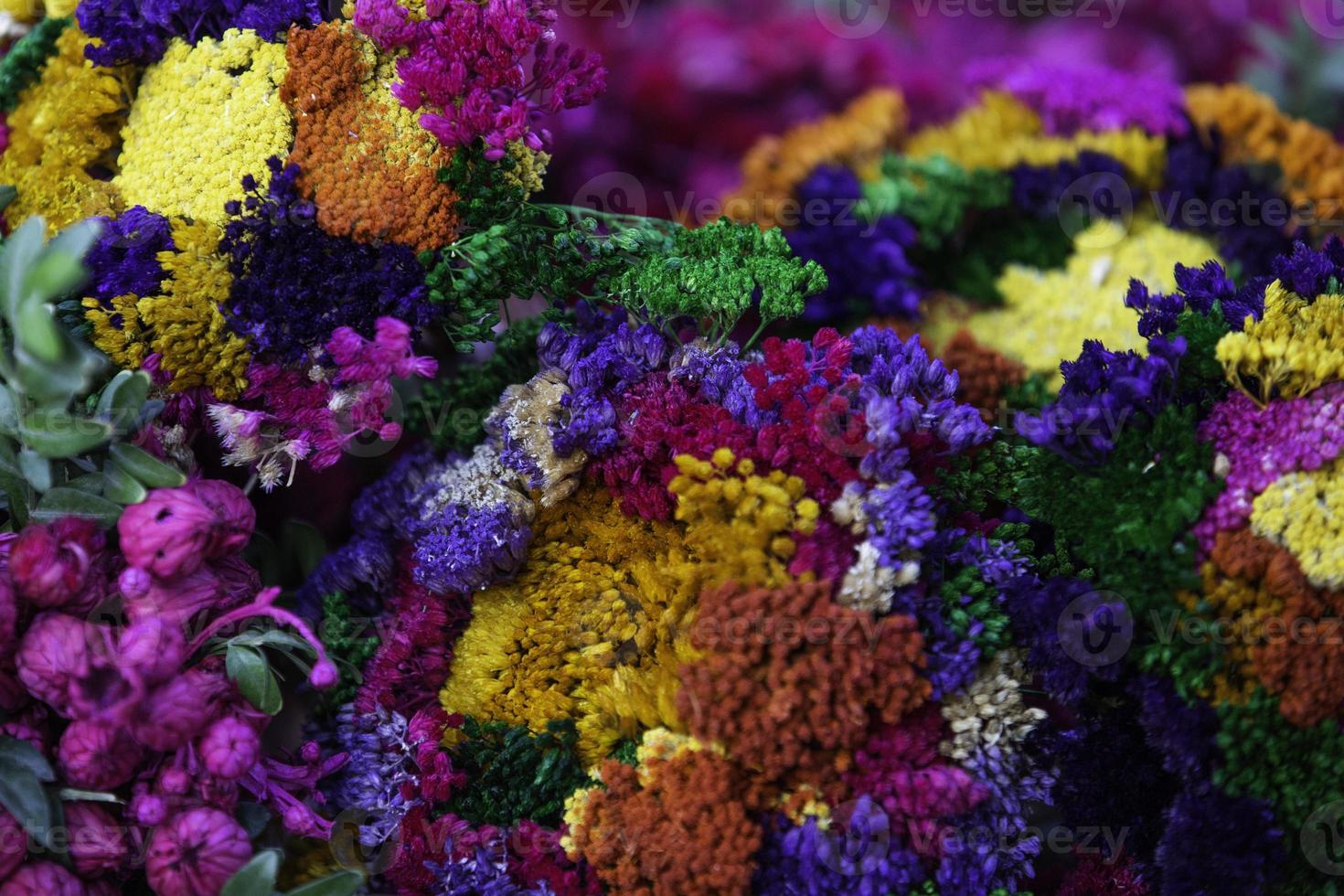 muitas flores coloridas diferentes. fundo floral 3246798 Foto de stock no  Vecteezy
