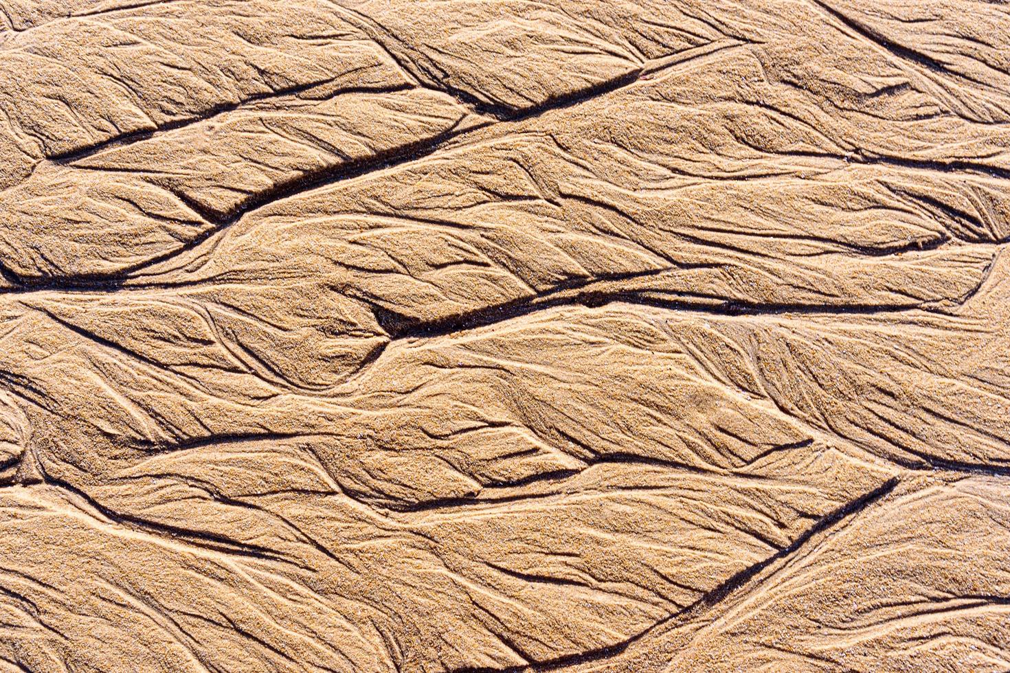 textura de areia molhada na praia foto