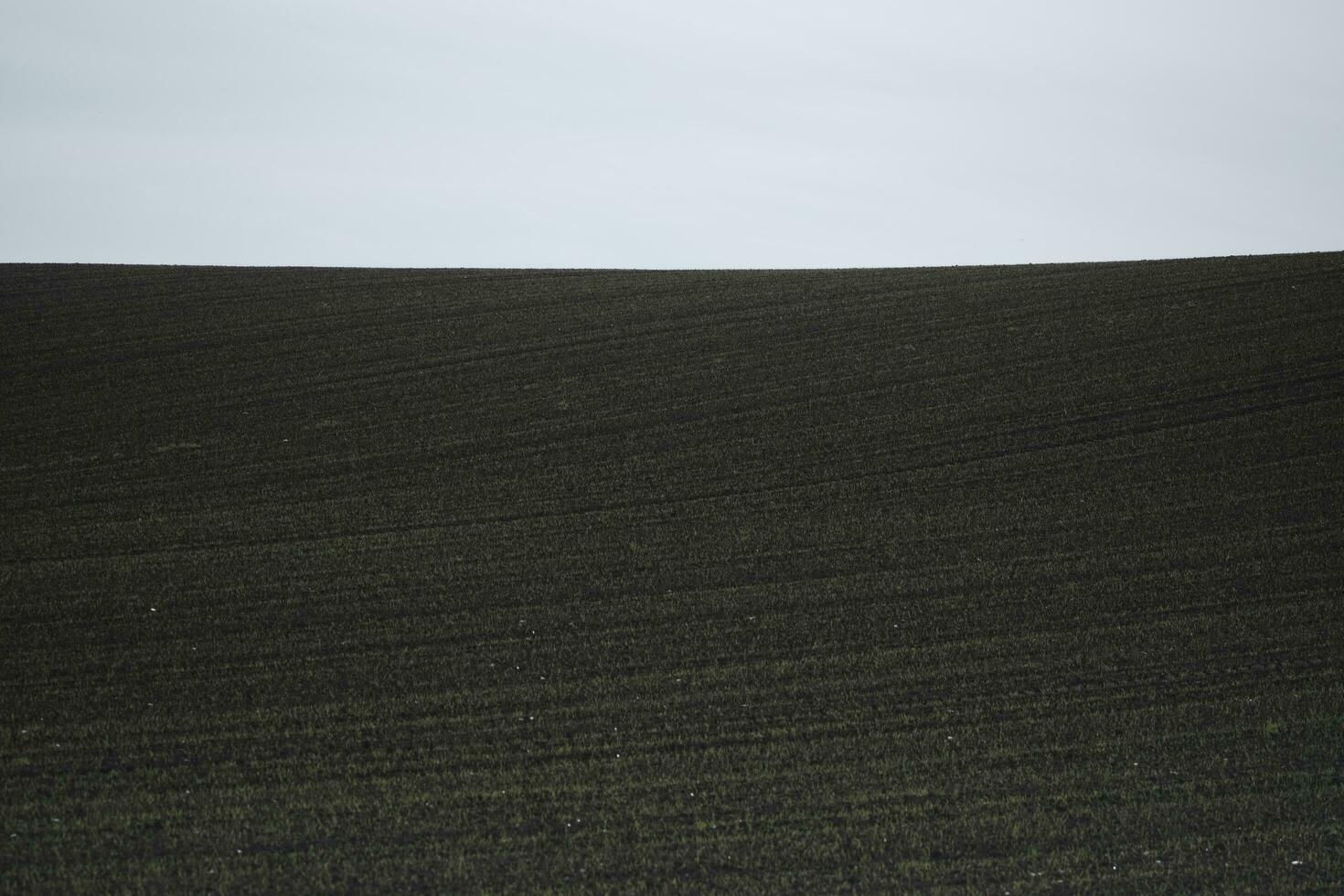 arado campo dentro a manhã foto