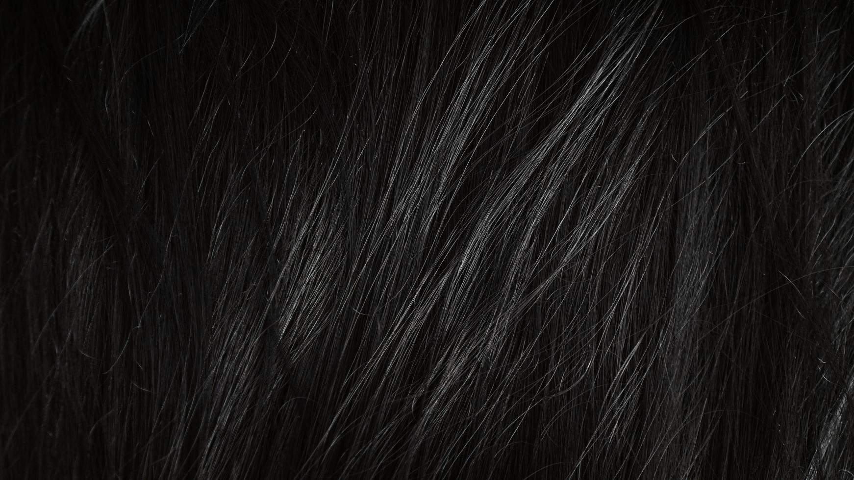 lindo cabelo preto saudável - close up foto